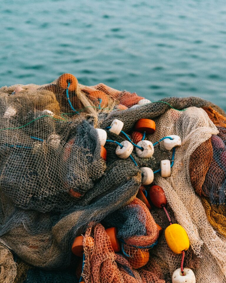 Photo by Krisztian Tabori on Unsplash