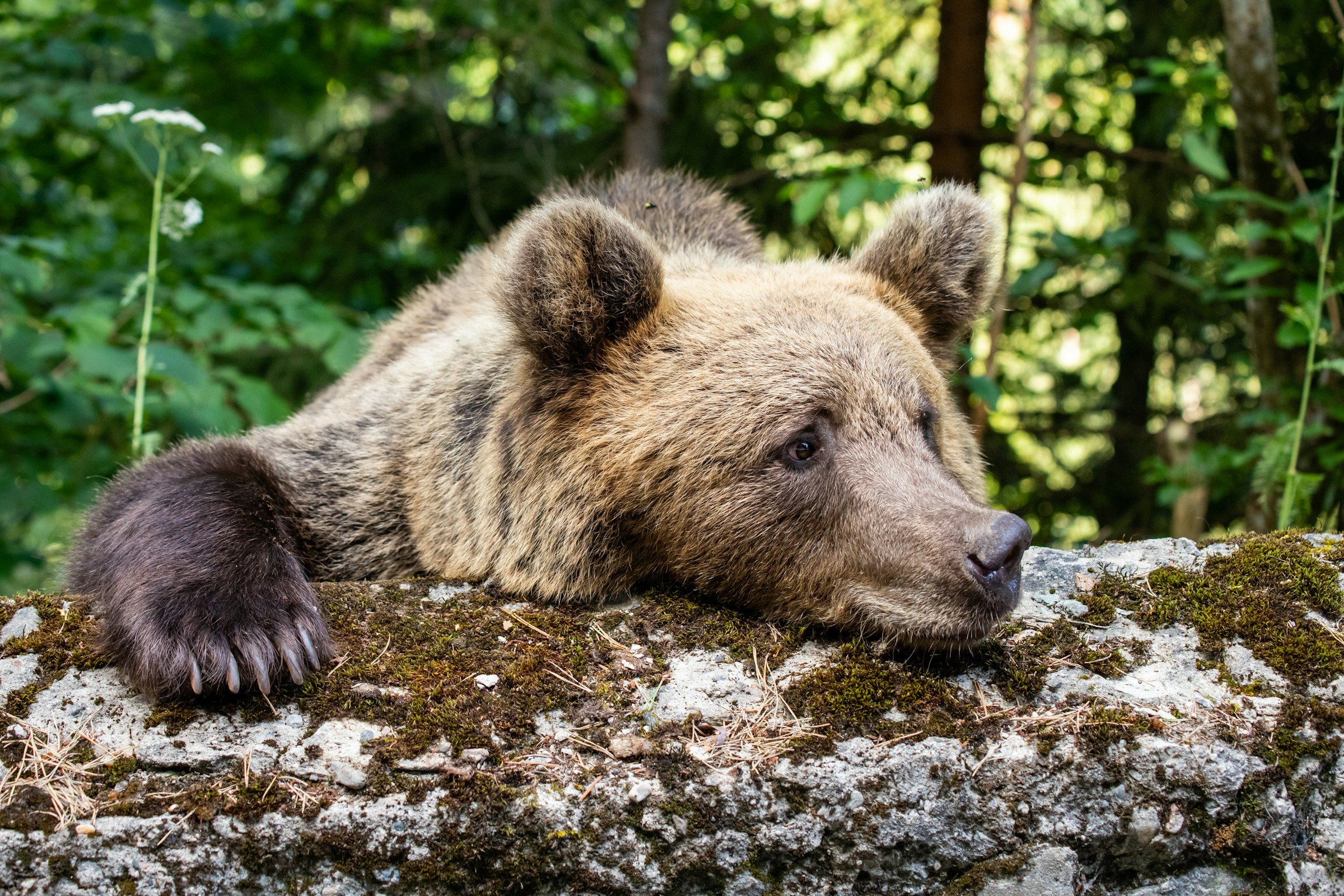 Photo by Alexandru-Bogdan Ghita on Unsplash